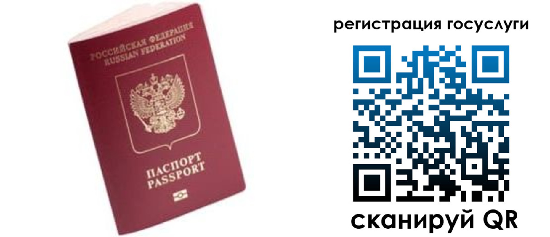 прописка поиск в Юрьев-Польском